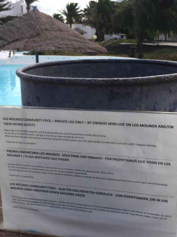La Joya Del Molino. Vistas A La Piscina, 1Hab, A/C Lejlighed Costa Teguise Eksteriør billede